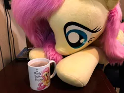 Size: 4032x3024 | Tagged: safe, artist:bugplayer, artist:natureshy, artist:qtpony, derpibooru import, fluttershy, pegasus, pony, chocolate, cup, cute, drink, faux fur, female, food, hot chocolate, life size, mare, mug, plushie, shyabetes, solo, weapons-grade cute