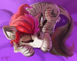 Size: 1600x1276 | Tagged: artist:saxopi, branding, derpibooru import, donkey, fallout equestria, fallout equestria: of shadows, hybrid, oc, oc:mikaella, safe, sleeping, solo, zebra, zebroid, zonkey