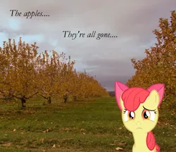 Size: 1733x1500 | Tagged: safe, artist:bryal, derpibooru import, apple bloom, earth pony, pony, autumn, cloud, dark clouds, female, filly, irl, photo, ponies in real life, raincloud, sad, sad in hindsight, solo, tree