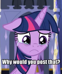 Size: 1090x1298 | Tagged: safe, derpibooru import, edit, edited screencap, screencap, twilight sparkle, twilight sparkle (alicorn), alicorn, pony, the last problem, leak, :c, caption, cropped, crying, female, floppy ears, frown, image macro, inverted mouth, looking down, mare, meme, sad, solo, text, text edit, this saddens, why would you post that