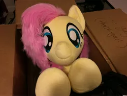 Size: 4032x3024 | Tagged: safe, artist:natureshy, artist:qtpony, derpibooru import, fluttershy, pony, box, cute, irl, life size, photo, plushie, pony in a box, shyabetes