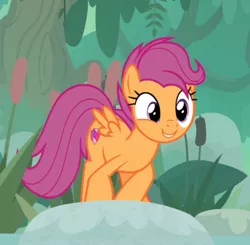 Size: 538x527 | Tagged: safe, derpibooru import, screencap, scootaloo, pegasus, pony, growing up is hard to do, cropped, crouching, cute, cutealoo, cutie mark, female, mare, older, older scootaloo, smiling, solo, the cmc's cutie marks