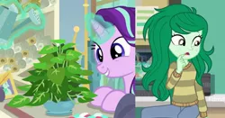 Size: 1671x873 | Tagged: safe, derpibooru import, screencap, phyllis, starlight glimmer, wallflower blush, a horse shoe-in, equestria girls, equestria girls series, forgotten friendship, comparison, wallflower is a plant