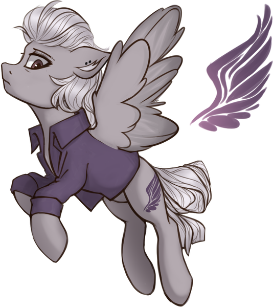 Size: 828x930 | Tagged: safe, artist:enigmasdegree, derpibooru import, oc, pegasus, pony, solo