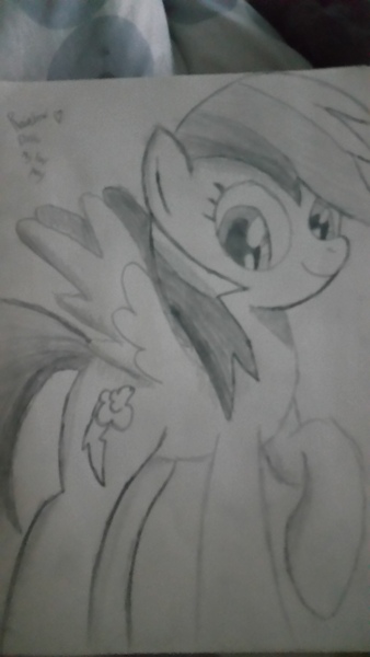 Size: 2988x5312 | Tagged: safe, artist:scottishlunaripoff, derpibooru import, rainbow dash, pony, fanart, sketch, solo, traditional art