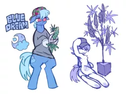 Size: 3035x2272 | Tagged: safe, artist:bugbites, derpibooru import, oc, oc:bluedream, earth pony, pony, armpits, backwards ballcap, baseball cap, cap, cutie mark, drugs, hat, hemp, marijuana, standing