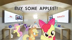 Size: 1413x785 | Tagged: artist needed, safe, derpibooru import, angel bunny, apple bloom, applejack, fluttershy, lyra heartstrings, rainbow dash, twilight sparkle, earth pony, pegasus, pony, unicorn, apple (company), apple logo, apple store, buy some apples, capitalism, computer, confused, female, happy, irl, laptop computer, mac computer, mare, photo, ponies in real life, pun, talking to viewer, unicorn twilight