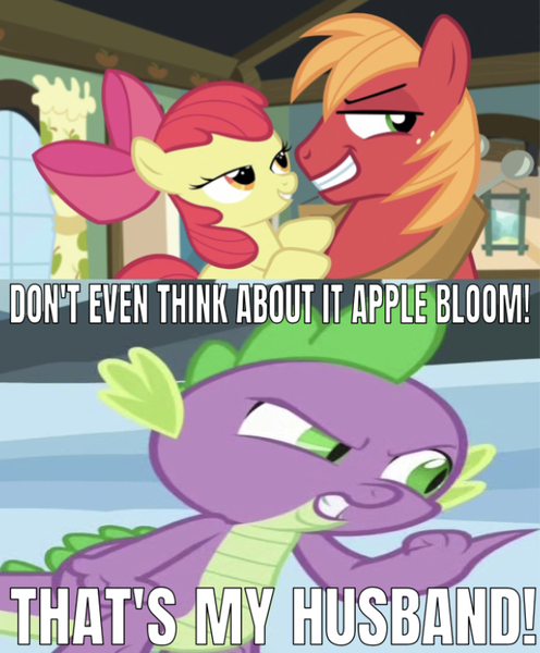 Size: 641x775 | Tagged: safe, derpibooru import, edit, edited screencap, editor:undeadponysoldier, screencap, apple bloom, big macintosh, spike, dragon, earth pony, pony, bedroom eyes, caption, don't even think about it, female, filly, gay, image macro, implied macbloom, implied shipping, implied straight, male, meme, shipping, smug, spikentosh, stallion, text, wrong aspect ratio