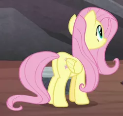 Size: 393x369 | Tagged: safe, derpibooru import, screencap, fluttershy, pegasus, pony, sweet and smoky, butt, cropped, female, mare, plot, solo