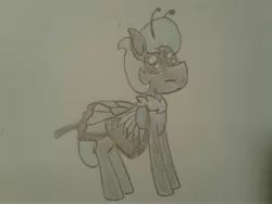Size: 2576x1932 | Tagged: artist:stemthebug, butterfly, butterfly pony, butterfly wings, derpibooru import, hybrid, oc, oc:blue shift, original species, safe, solo, traditional art, unofficial characters only, wings