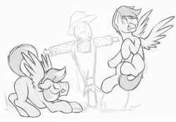 Size: 4096x2834 | Tagged: safe, artist:dripponi, derpibooru import, oc, oc:noxy, oc:windy dripper, unofficial characters only, pegasus, pony, behaving like a bird, black and white, gay, grayscale, male, monochrome, noxydrip, oc x oc, scarecrow, shipping