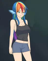 Size: 1280x1617 | Tagged: artist:jonfawkes, breasts, busty rainbow dash, changeling, cleavage, clothes, derpibooru import, disguise, disguised changeling, edit, female, human, humanized, midriff, queen chrysalis, rainbow dash, series:nightmare war, shorts, solo, solo female, suggestive, tanktop, wing ears