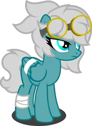 Size: 1280x1748 | Tagged: safe, artist:fletcherthehuntress, derpibooru import, oc, oc:cumulonimbus, pegasus, pony, female, goggles, mare, simple background, solo, transparent background, vector