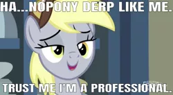 Size: 638x350 | Tagged: safe, derpibooru import, edit, edited screencap, editor:undeadponysoldier, screencap, derpy hooves, pegasus, pony, best gift ever, caption, female, image macro, mare, professional, professionalism, smiling, solo, talking to viewer, text