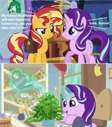 Size: 1280x1444 | Tagged: safe, derpibooru import, edit, edited screencap, screencap, phyllis, starlight glimmer, sunset shimmer, wallflower blush, a horse shoe-in, equestria girls, equestria girls series, forgotten friendship, mirror magic, spoiler:eqg specials, comic, plant, screencap comic, species swap, wallflower is a plant, wallflowerbuse, we are going to hell
