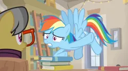 Size: 1600x896 | Tagged: safe, derpibooru import, screencap, a.k. yearling, rainbow dash, pegasus, pony, daring doubt, book, bookshelf, door, duo, duo female, female, flying, glasses, ladder, mare, shelf, worried