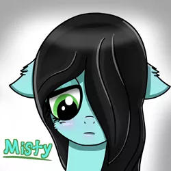 Size: 6000x6000 | Tagged: safe, artist:crimsonsky, derpibooru import, oc, pony, female, mare, solo