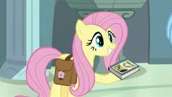 Size: 1920x1080 | Tagged: safe, derpibooru import, screencap, fluttershy, pegasus, pony, daring doubt, bag, betrayal, cute, daring do and the fallen idol, daring do book, folded wings, grin, rainbow dash's house, saddle bag, smiling, traitor, wings