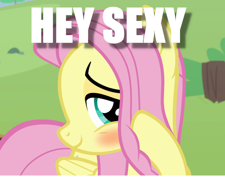 Size: 1365x1071 | Tagged: blushing, caption, cropped, cute, derpibooru import, edit, edited screencap, flirty, fluttershy, image macro, safe, screencap, she talks to angel, shy, shyabetes, solo, text