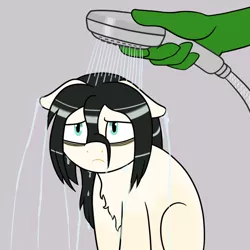 Size: 1000x1000 | Tagged: safe, artist:scraggleman, derpibooru import, oc, oc:anon, oc:floor bored, earth pony, pony, bags under eyes, bathing, chest fluff, forced bathing, frown, sad, shower, simple background, water, wet, wet mane