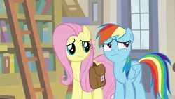 Size: 1920x1080 | Tagged: safe, derpibooru import, screencap, fluttershy, rainbow dash, pony, daring doubt, bag, book, bookshelf, ladder, saddle bag