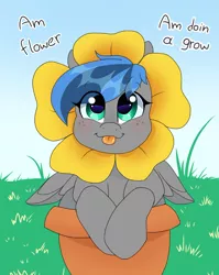 Size: 768x965 | Tagged: safe, artist:littlebibbo, derpibooru import, oc, oc:bibbo, unofficial characters only, pegasus, pony, blue sky, blushing, clothes, costume, flower, flower pot, freckles, grass, looking at you, sparkly eyes, text, tongue out
