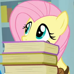 Size: 600x600 | Tagged: safe, derpibooru import, screencap, fluttershy, pegasus, pony, daring doubt, bag, book, cropped, cute, female, hiding, mare, saddle bag, shyabetes, solo