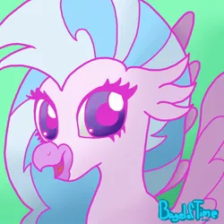 Size: 894x894 | Tagged: artist:bageloftime, cute, derpibooru import, diastreamies, hippogriff, safe, silverstream, solo