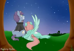 Size: 2962x2059 | Tagged: safe, artist:raspberrystudios, derpibooru import, oc, oc:aries, oc:minty, unofficial characters only, pegasus, pony, clothes, commission, couple, hoodie, night, night sky, pegasus oc, sky, stars, tree, wings