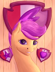 Size: 1000x1300 | Tagged: safe, artist:aterhut, derpibooru import, scootaloo, pony, bust, cutie mark, eye reflection, female, looking at you, mare, older, older scootaloo, reflection, solo, the cmc's cutie marks