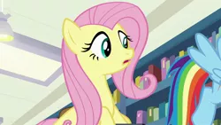 Size: 1920x1080 | Tagged: safe, derpibooru import, screencap, fluttershy, rainbow dash, pony, daring doubt, book, bookshelf