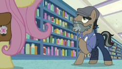 Size: 640x360 | Tagged: safe, derpibooru import, screencap, a.k. yearling, daring do, doctor caballeron, fluttershy, earth pony, pegasus, pony, daring doubt, animated, book, bookshelf, disguise, female, gif, male, mare, stallion, we don't normally wear clothes