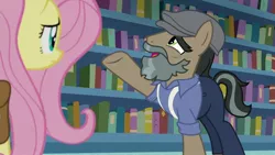 Size: 1920x1080 | Tagged: safe, derpibooru import, screencap, doctor caballeron, fluttershy, pony, daring doubt, book, bookshelf, disguise, fake beard, groom q.q. martingale