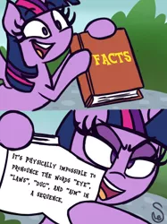 Size: 760x1015 | Tagged: safe, artist:quarium edits, derpibooru import, edit, twilight sparkle, twilight sparkle (alicorn), alicorn, pony, 2 panel comic, book, comic, ed edd n eddy, exploitable meme, image macro, meme, solo, the game, twilight's fact book