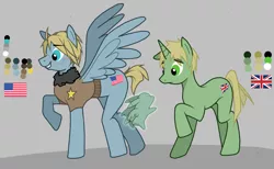 Size: 1000x615 | Tagged: safe, artist:destiny-shiva, derpibooru import, ponified, pony, crossover, hetalia, united kingdom, united states