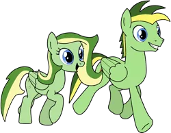 Size: 1014x788 | Tagged: safe, artist:didgereethebrony, derpibooru import, oc, oc:boomerang beauty, oc:didgeree, pegasus, pony, base used, boomeree, brother and sister, cutie mark, female, male, mare, siblings, simple background, stallion, trace, transparent background