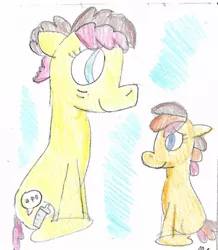 Size: 817x937 | Tagged: safe, artist:ptitemouette, derpibooru import, oc, oc:cheddar toast, oc:cheese party, pony, grandparents and grandchildren, offspring, parent:cheese sandwich, parent:oc:life goal, parent:oc:reblochon, parent:pinkie pie, parents:cheesepie, parents:oc x oc