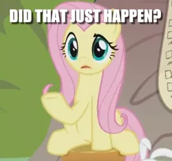 Size: 718x671 | Tagged: angel bunny, caption, cropped, derpibooru import, edit, edited screencap, fluttershy, image macro, question, safe, screencap, she talks to angel, solo focus, text