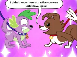 Size: 1021x757 | Tagged: safe, artist:mlpegasis4898, derpibooru import, spike, spike the regular dog, winona, dog, equestria girls, bed room eyes, bedroom eyes, collar, exploitable meme, female, flirty, imminent sex, leash, long neck, male, meme, nope.avi, seductive, seductive look, seductive pose, shipping, shocked, spinona, straight, wingding eyes