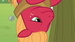 Size: 1280x720 | Tagged: safe, derpibooru import, screencap, big macintosh, pony, going to seed, apple, apple tree, food, solo, tree, upside down