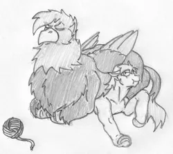Size: 1400x1250 | Tagged: safe, artist:siegfriednox, derpibooru import, oc, oc:harpy, oc:southern comfort, unofficial characters only, gryphon, pegasus, pony, behaving like a cat, fluffy, grayscale, monochrome, sitting on, sitting on pony, traditional art, yarn, yarn ball