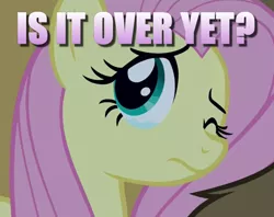 Size: 604x478 | Tagged: 28 pranks later, caption, crying, cute, derpibooru import, edit, edited screencap, fluttershy, harry, image macro, question, sad, sadorable, safe, screencap, shyabetes, text