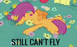 Size: 440x272 | Tagged: cropped, cutie mark, derpibooru import, edit, edited screencap, faceplant, growing up is hard to do, older, older scootaloo, safe, scootaloo, scootaloo can't fly, scootaloo will never fly, screencap, solo focus, the cmc's cutie marks