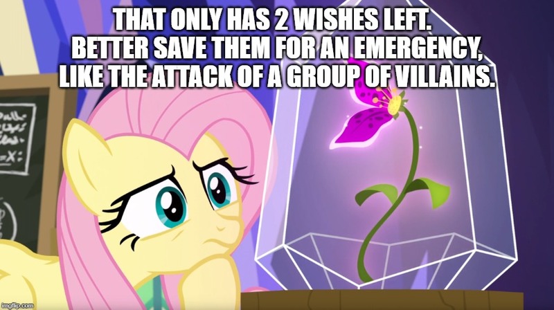 Size: 891x499 | Tagged: derpibooru import, edit, edited screencap, enchanted, flower, fluttershy, glass case, growing up is hard to do, magic, meme, pondering, safe, screencap, solo, text, wishing flower