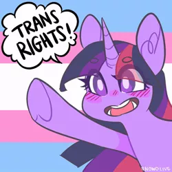 Size: 894x894 | Tagged: safe, artist:snowolive, derpibooru import, twilight sparkle, pony, beanbrows, blushing, exclamation point, eye clipping through hair, eyebrows, female, mare, mouthpiece, open mouth, politics, pride, pride flag, solo, speech, speech bubble, talking, trans rights, transgender pride flag