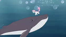 Size: 2000x1124 | Tagged: safe, derpibooru import, screencap, sweetie belle, pony, unicorn, whale, growing up is hard to do, animal, being big is all it takes, cutie mark, female, humpback whale, mare, older, older sweetie belle, solo, the cmc's cutie marks, underwater