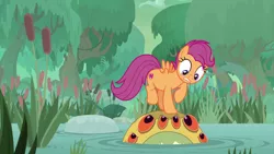 Size: 2000x1124 | Tagged: safe, derpibooru import, screencap, scootaloo, bufogren, pegasus, pony, growing up is hard to do, cattails, cutie mark, female, hayseed swamp, looking down, looking up, mare, older, older scootaloo, raised hoof, swamp, the cmc's cutie marks, tree