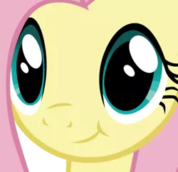 Size: 421x408 | Tagged: safe, derpibooru import, fluttershy, pony, close-up, face of mercy, simple background, smiling, solo, transparent background