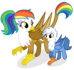 Size: 1280x1224 | Tagged: safe, artist:shizow, derpibooru import, oc, oc:gren, oc:rainbow feather, gryphon, hippogriff, hybrid, brother and sister, female, interspecies offspring, magical lesbian spawn, male, next generation, offspring, parent:gilda, parent:rainbow dash, parents:gildash, siblings