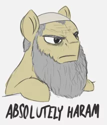 Size: 942x1100 | Tagged: safe, artist:t72b, derpibooru import, igneous rock pie, earth pony, pony, saddle arabian, absolutely disgusting, absolutely haram, beard, disappointed, facial hair, frown, hat, islam, meme, ponified meme, solo